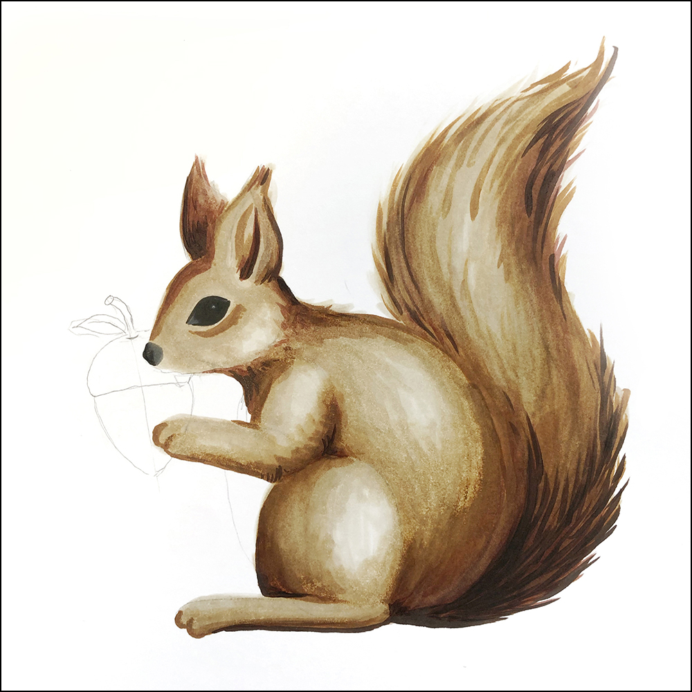 Download Squirrel Drawing Sketch RoyaltyFree Stock Illustration Image   Pixabay