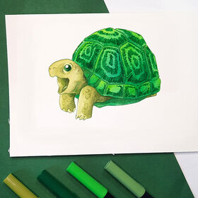 Draw a turtle