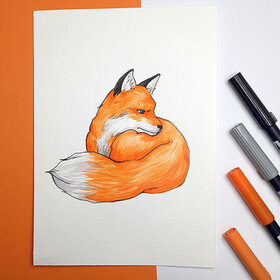 Dessiner un renard