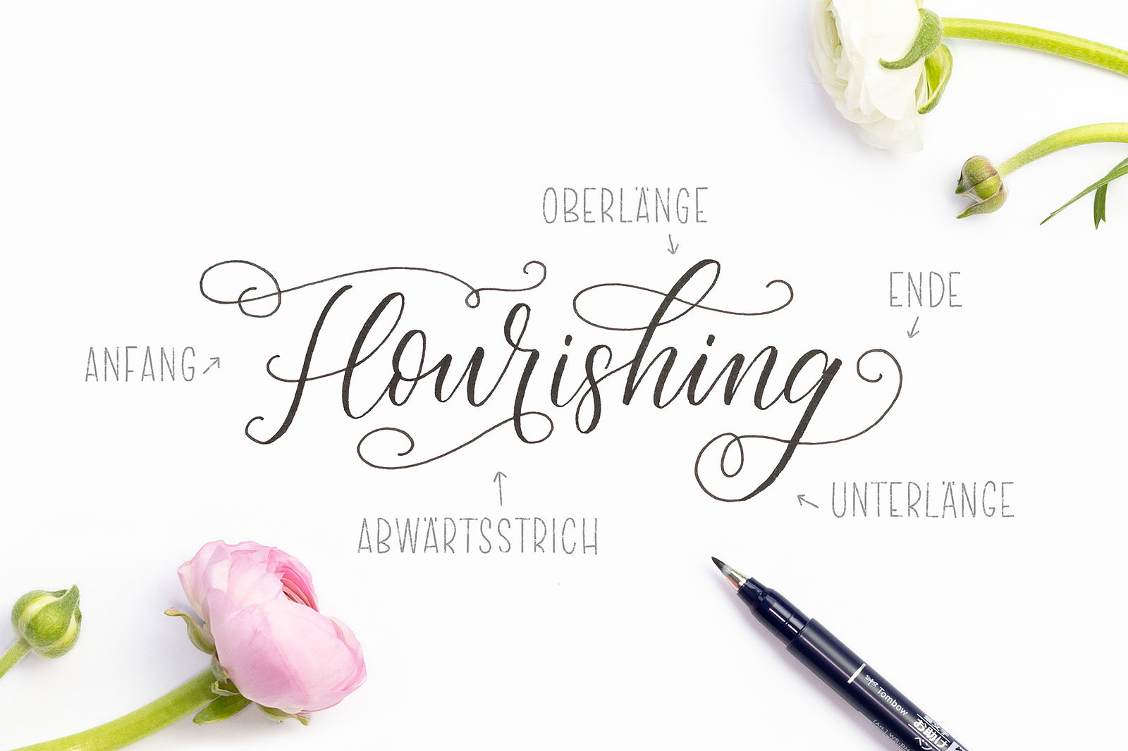 Flourishing – Lettering mit Schwung│Tombow