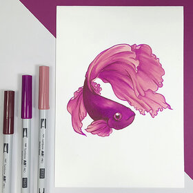 Draw fish